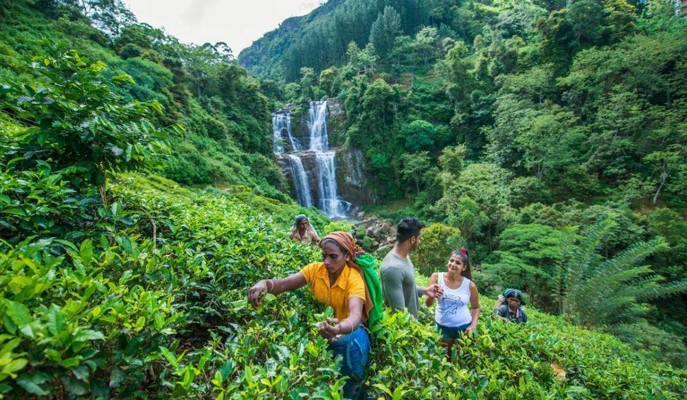 Ramboda Falls Hotel Dış mekan fotoğraf