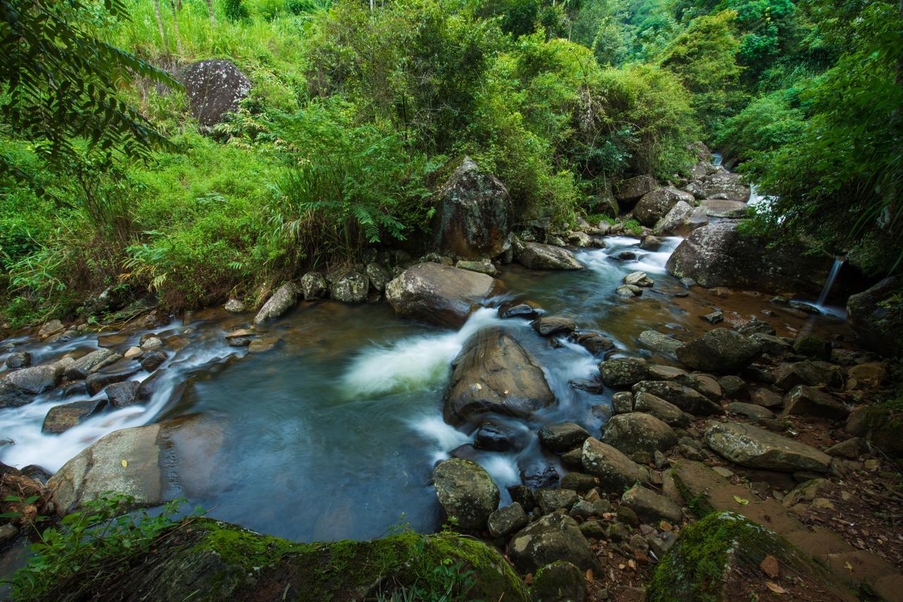 Ramboda Falls Hotel Dış mekan fotoğraf