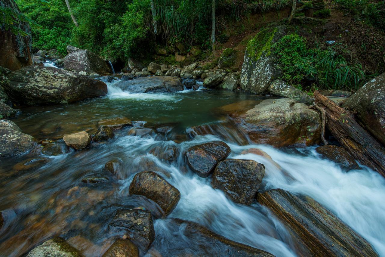 Ramboda Falls Hotel Dış mekan fotoğraf